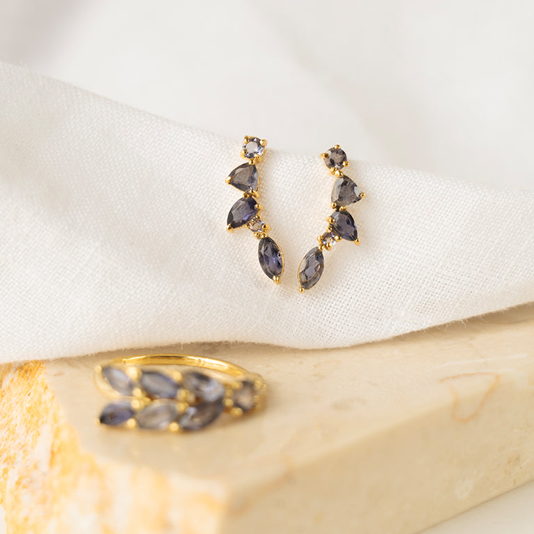 Floral Arc Earrings and Ear Climbers