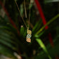 Daun Necklace