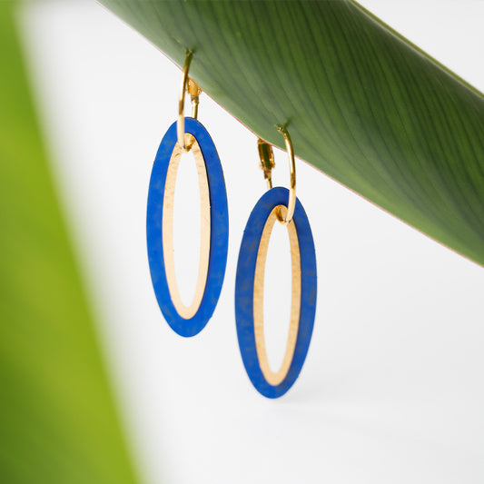 Hanging Oval Hoops